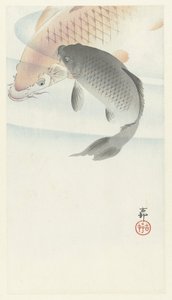 Two Carps