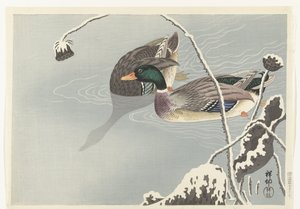 Two Mallards near a Snow-Covered Lotus by Ohara Koson