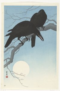 Two Crows on a Branch