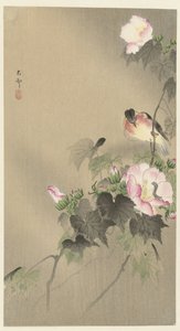 Bird and Caterpillar