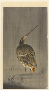 Snipe in the Rain by Ohara Koson