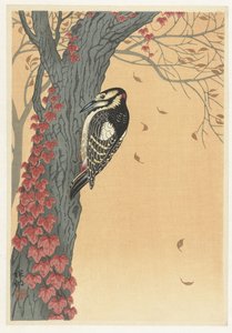 Woodpecker in a tree with red ivy