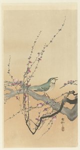 Songbird and Plum Blossom