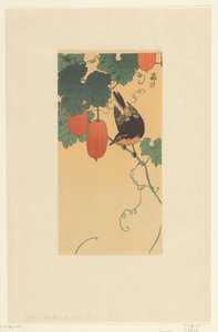 Songbird on Plant with Red Fruits