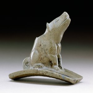 Coyote Platform Pipe