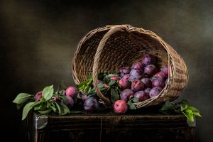 Dark Plums Still Life