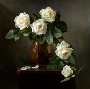 Elegant White Roses