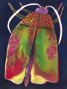 Moth by Olga Skomorokhova