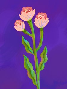 Vibrant Floral Trio by Olga Skomorokhova
