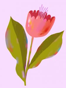Vibrant Pink Bloom by Olga Skomorokhova