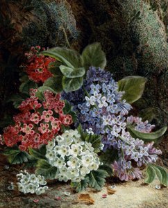 Lilac and Hawthorn Flowers