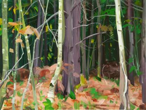 Forest 7 by Olivier Morel