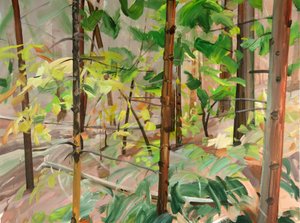 Forest 9 (2015)