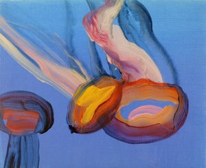 Jellyfish 11, 2013