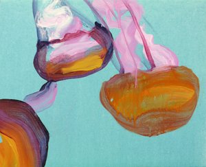 Jellyfish 12, 2013