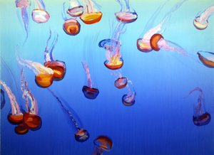 Jellyfish 2, 2012