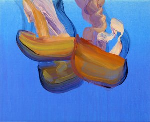 Jellyfish 6, 2013