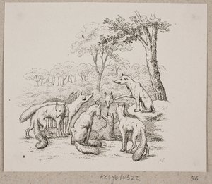 The Foxes Hold a Meeting by Oluf Olufsen Bagge
