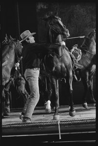 Gregory Peck with horse on the set of 