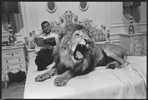 Tony Randall with lion (Zamba), on the set of 