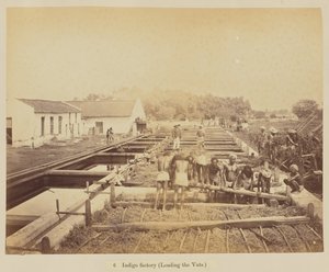 Indigo Factory (Loading the Vats) by Oscar Mallitte