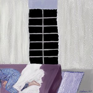 Cozy Window Sleep by Osheensgallery