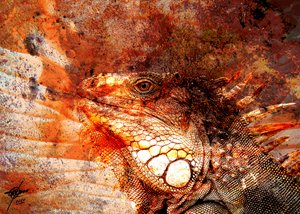 Fiery Iguana Portrait by Osvaldo Russo