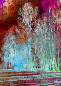 Surreal Colorful Forest by Osvaldo Russo