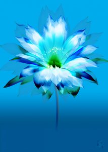 Vibrant Blue Bloom