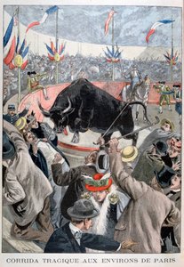 Tragic bullfight accident around Paris
