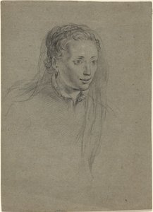 Young Woman with Braided Hair and a Veil