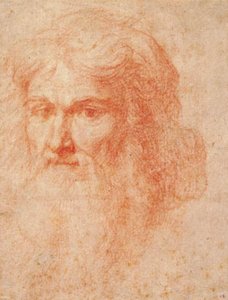 Head of a Man with a Long Beard by Ottavio Vannini
