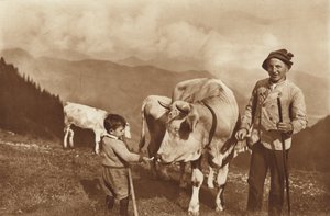 On the Alp by Otto Ballerstedt