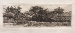 Roofs and Trees
