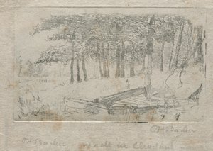 Sketch from Nature by Otto H. Bacher