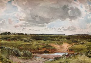 Southwold Common in August, c1889 by Otto Limited