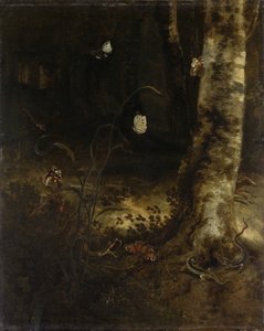 Forest Floor with a Snake, Lizards, Butterflies and Other Insects