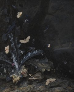 Still Life with Thistle and Snake by Otto Marseus  van Schrieck