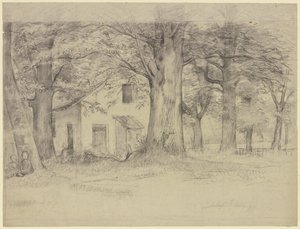 House Behind Trees