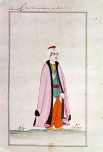 Ottoman Art: A Young Turkish