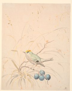 A Goldcrest on a Blackthorn Branch by P.C. Skovgaard