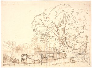 Cows by a Forest Lake