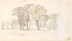 Scene from Jægersborg Deer Park with freestanding trees