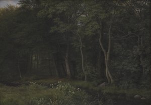 Twilight Setting in a Wood near Iselingen Manor, Zealand