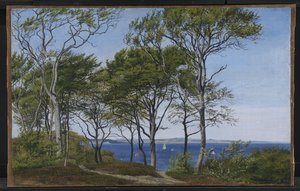 View Through Beech Trees Across a Fjord