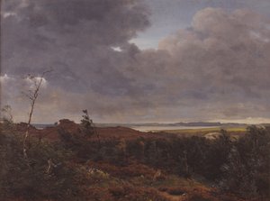 View of Frederiksværk from Tisvilde Wood, North Zealand