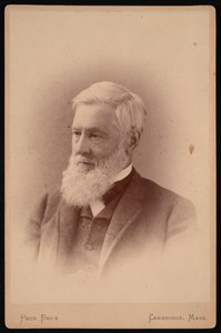 Portrait of Asa Gray by Pach Bros