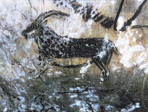 Goat or Chamois, Rock Painting in the Black Room, Magdalenian