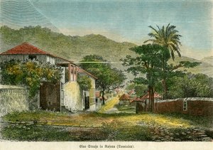 A Street in Roseau, Dominica