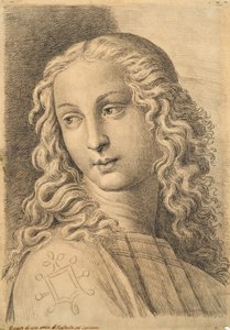 Head of a woman, from 42 Studies of Heads after Raphael